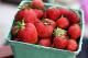 Health Effects Of Eating Rotten Strawberries 